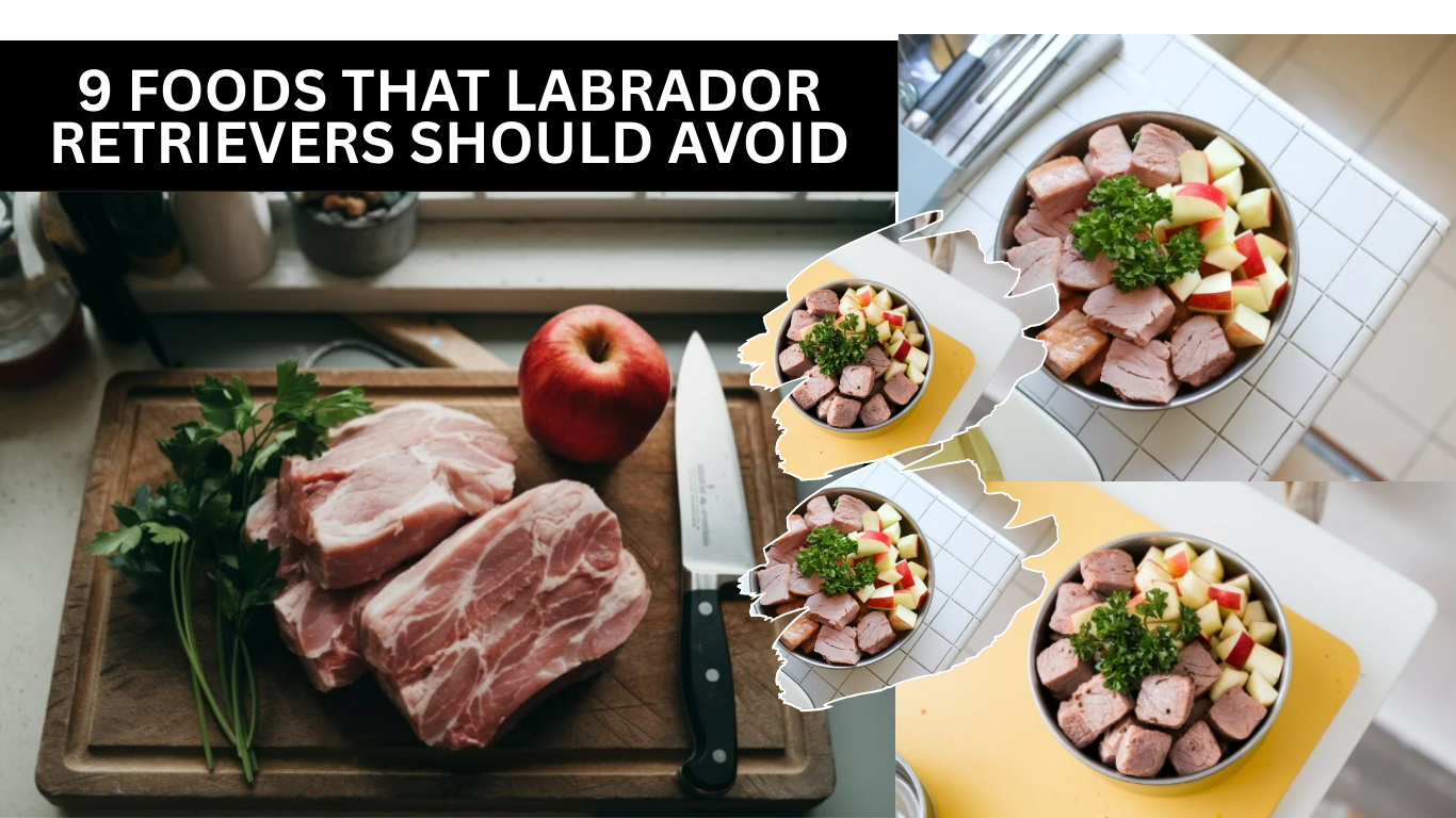 Pork and Apple Delight