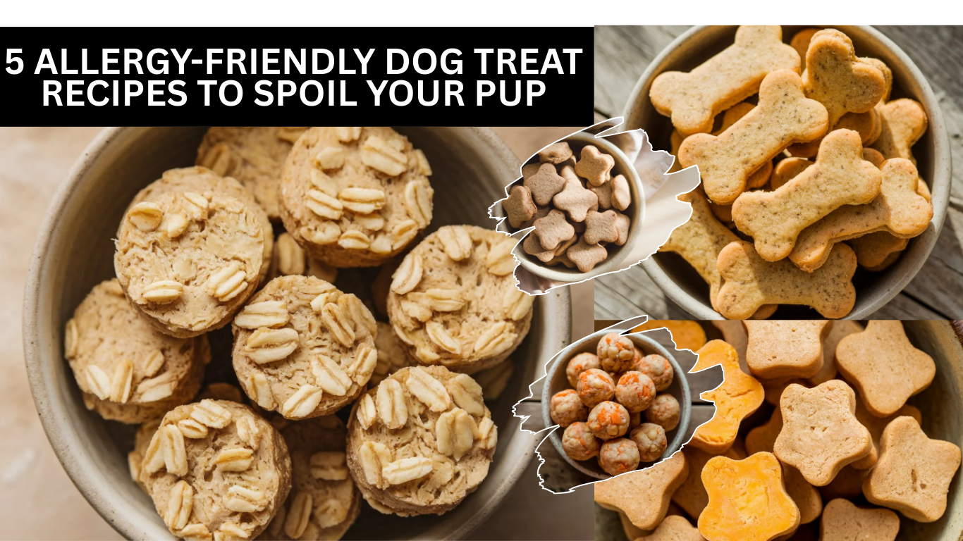 5 Allergy-Friendly Dog Treat Recipes to Spoil Your Pup