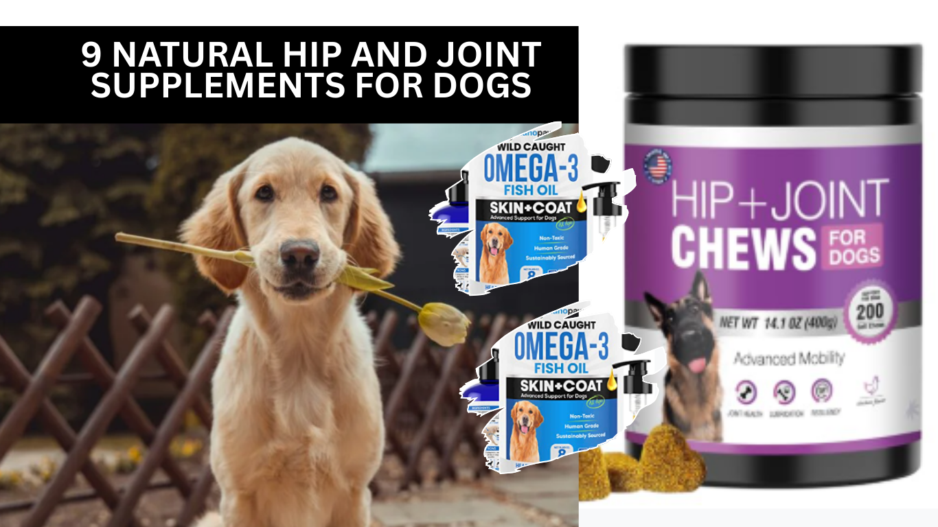 9 Natural Hip and Joint Supplements for Dogs