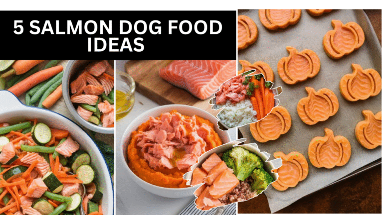 Salmon Dog Food Ideas