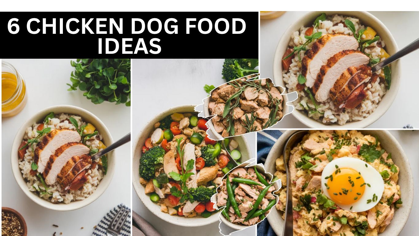 Chicken Dog Food Ideas