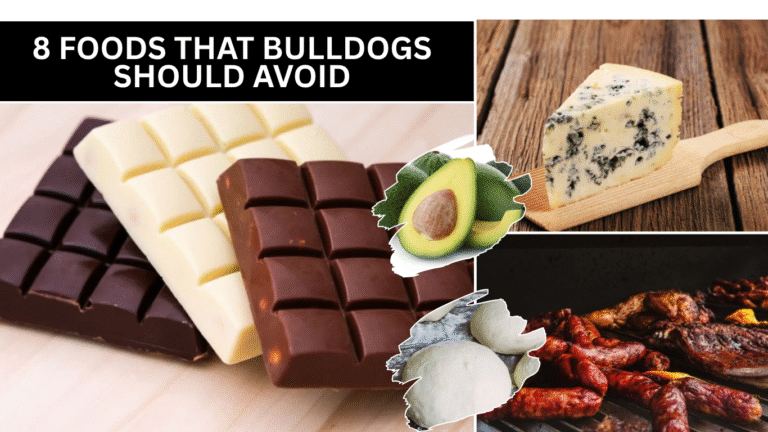 Foods That Bulldogs Should Avoid