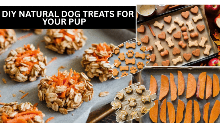 5 DIY Natural Dog Treats For Your Pup