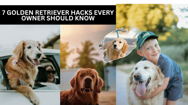 7 Golden Retriever Hacks Every Owner Should Know