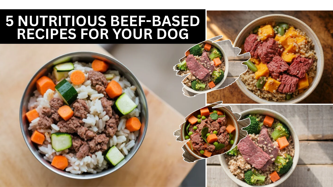 Beef-Based Recipes for Your Dog