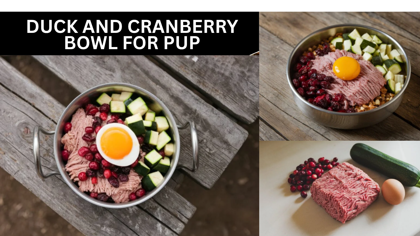 Duck and Cranberry Bowl