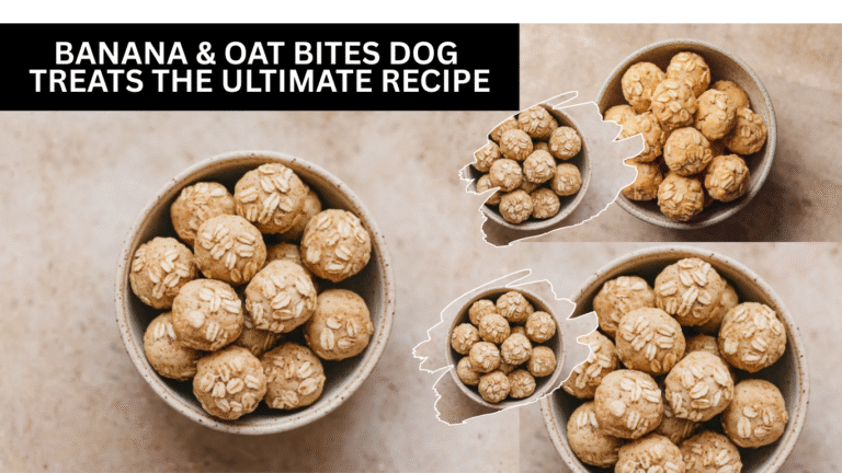 Banana & Oat Bites Dog Treats The Ultimate Allergy-Friendly Dog Treats!