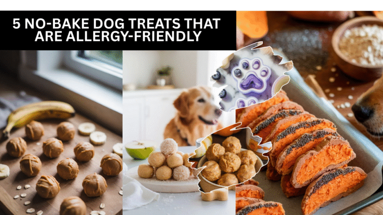 5 No-Bake Dog Treats That Are Allergy-Friendly