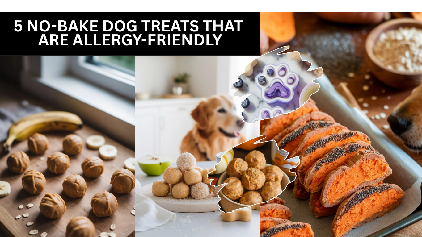 5 No-Bake Dog Treats That Are Allergy-Friendly