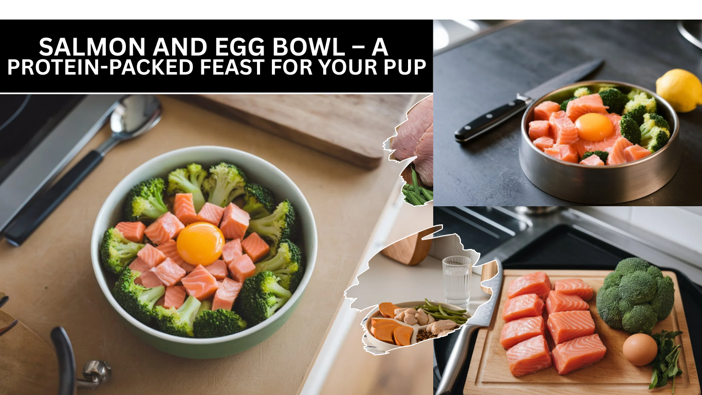 Salmon and Egg Bowl – A Protein-Packed Feast for Your Pup