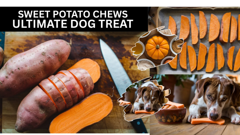 Sweet Potato Chews Ultimate Dog Treat for Healthy Snacking