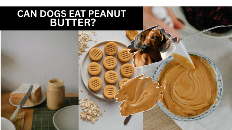 Can Dogs Eat Peanut Butter?