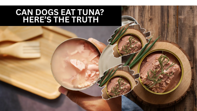 Can Dogs Eat Tuna? Here’s The Truth