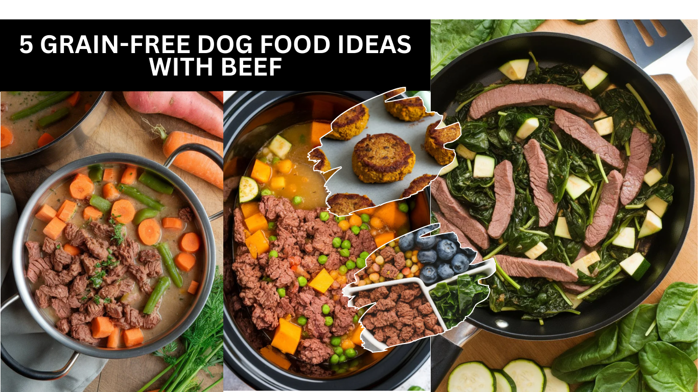 5 Grain-Free Dog Food Ideas With Beef