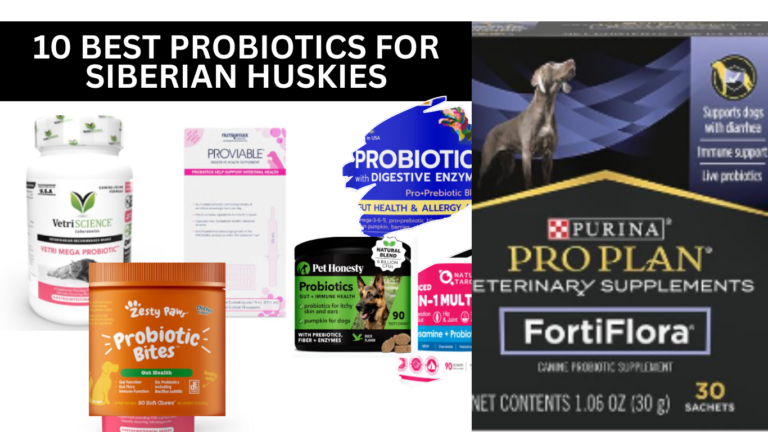 10 Best Probiotics for Siberian Huskies