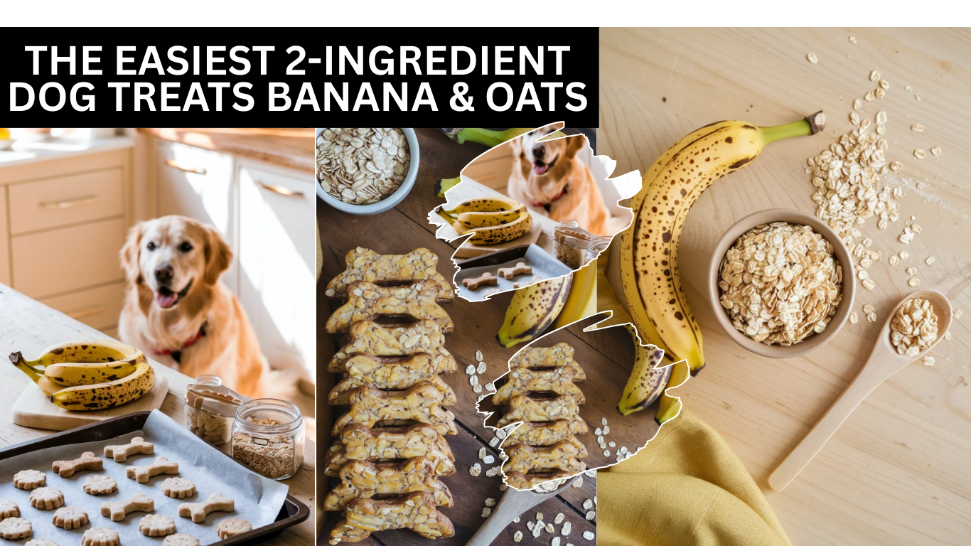 The Easiest 2-Ingredient Dog Treats Banana & Oats