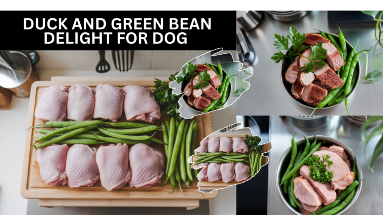 Duck and Green Bean Delight For Dog | – A Nutritious Meal