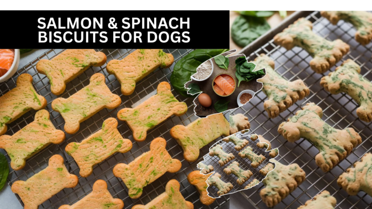 Salmon & Spinach Biscuits For Dogs: Omega-Rich Treat