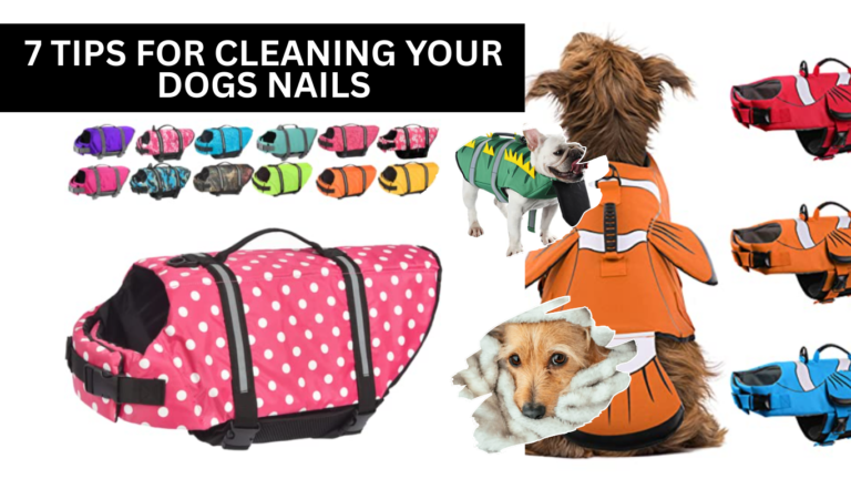 8 Best Dog Life Jackets For Swimming (CUTE!)