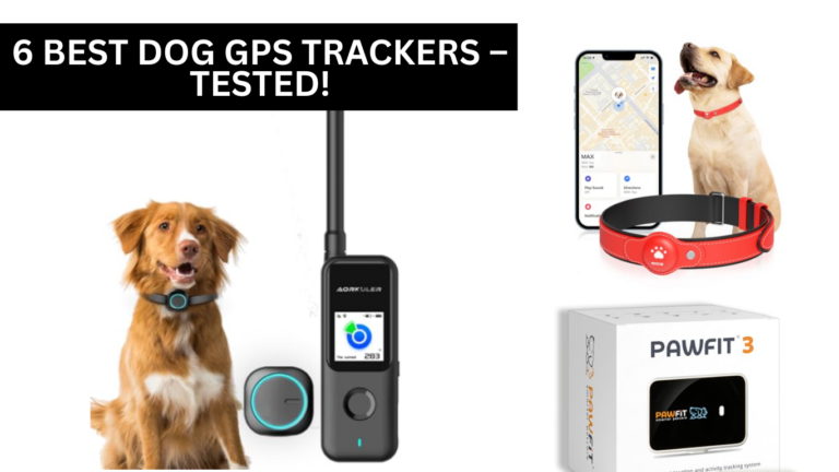 6 Best Dog GPS Trackers – TESTED!