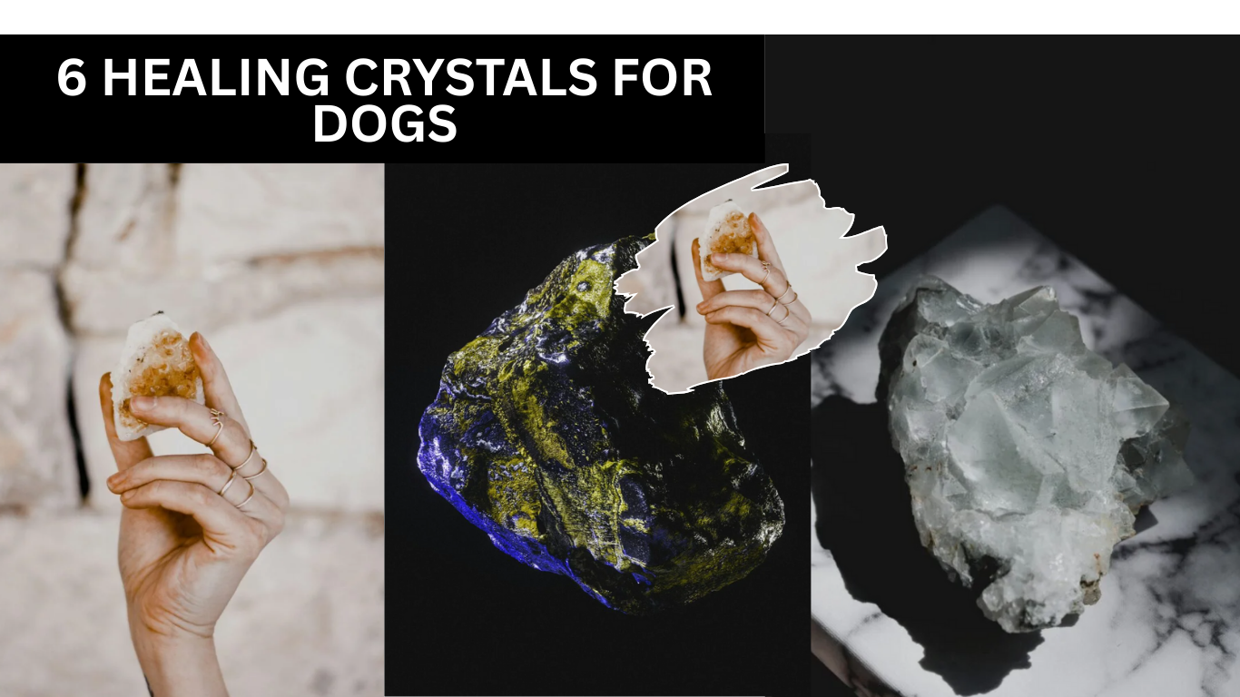 6 Healing Crystals for Dogs: Boost Your Pup’s Energy