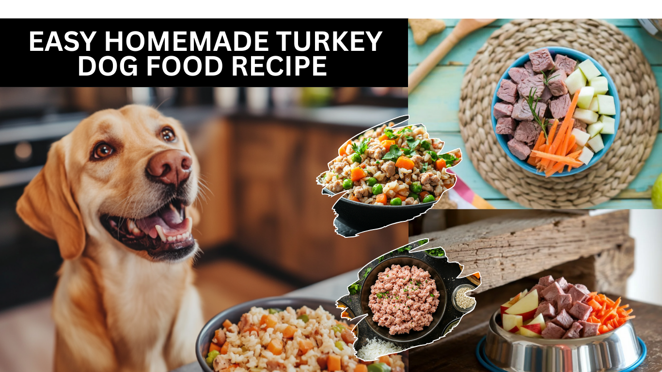 Easy Homemade Turkey Dog Food Recipe (Your Pup Will Love It)