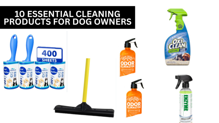 10 Essential Cleaning Products for Dog Owners