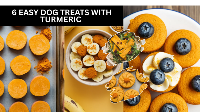 6 Easy Dog Treats With Turmeric (Anti-Inflammatory!)