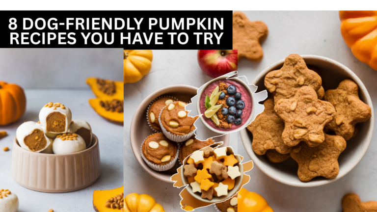 8 Dog-Friendly Pumpkin Recipes You Have To Try