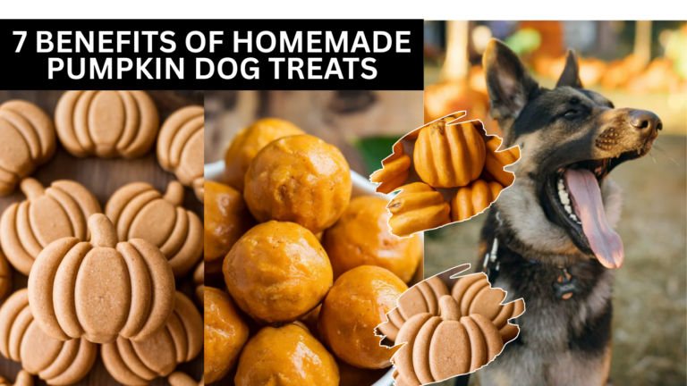 7 Benefits of Homemade Pumpkin Dog Treats