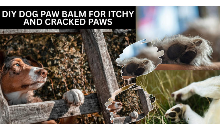 DIY Dog Paw Balm for Itchy and Cracked Paws