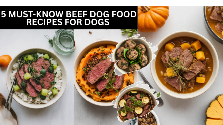 5 Must-Know Beef Dog Food Recipes For Dogs With Sensitive Stomachs