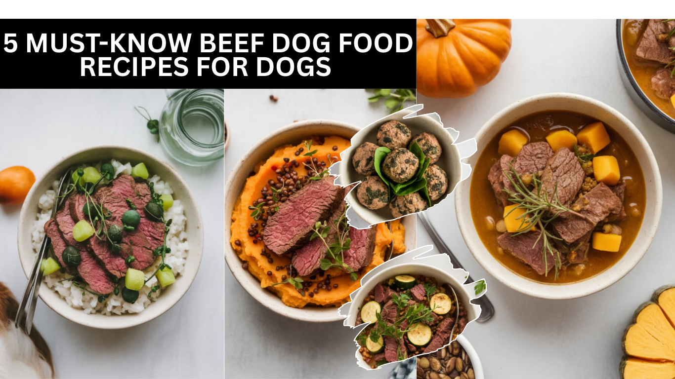5 Must-Know Beef Dog Food Recipes For Dogs With Sensitive Stomachs