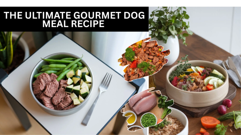 The Ultimate Gourmet Dog Meal Recipe You Need In Your Life