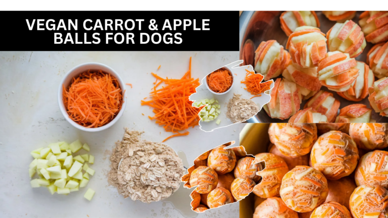 Vegan Carrot & Apple Balls For Dogs – The Sweet and Fruity