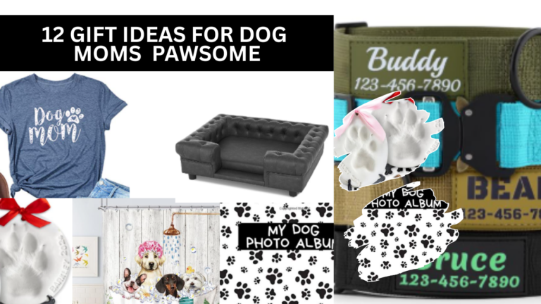 12 Gift Ideas for Dog Moms | Pawsome