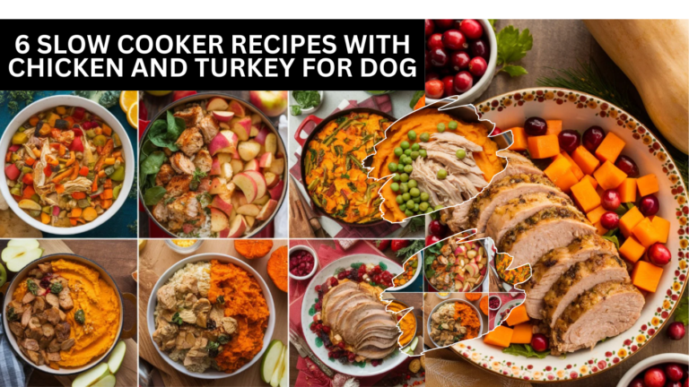 6 Slow Cooker Recipes with Chicken and Turkey For Dog