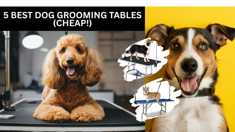 5 Best Dog Grooming Tables (CHEAP!)