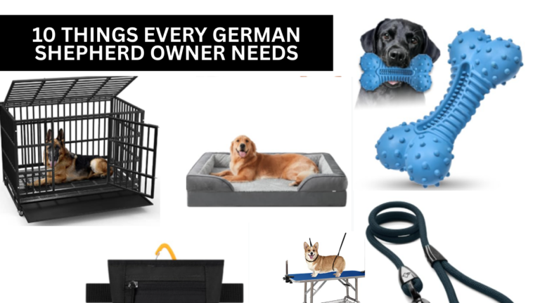 10 Things Every German Shepherd Owner Needs