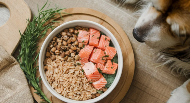Easy Salmon & Brown Rice Dog Food: Your Pup’s New Obsession