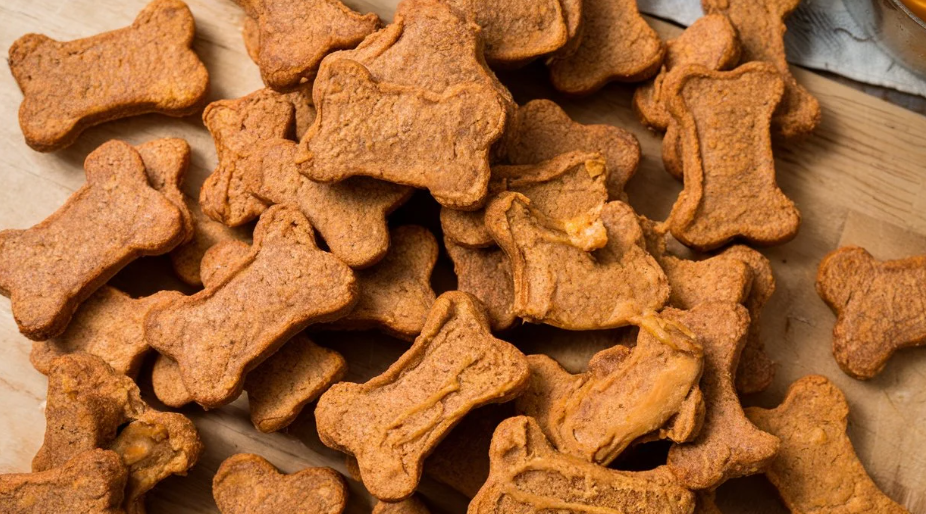 Peanut Butter & Pumpkin Birthday Dog Treats