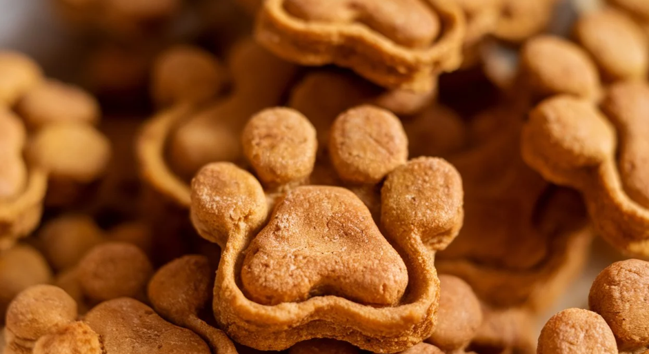 Pumpkin Power: Healthy & Homemade Dog Treats with Pumpkin Puree