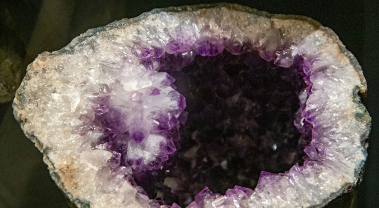 5 Reasons Why Your Dog Needs Amethyst