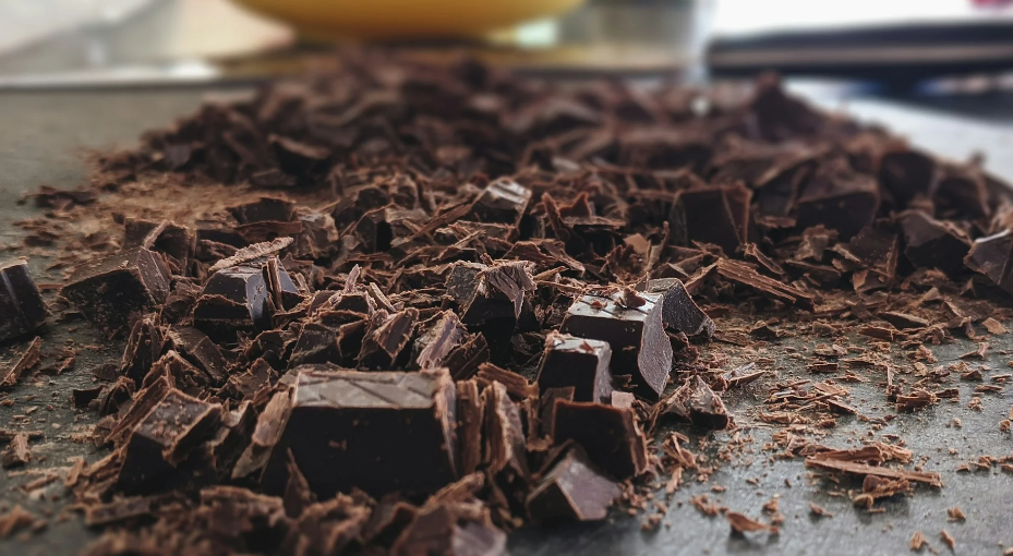 My Dog Ate Chocolate now What