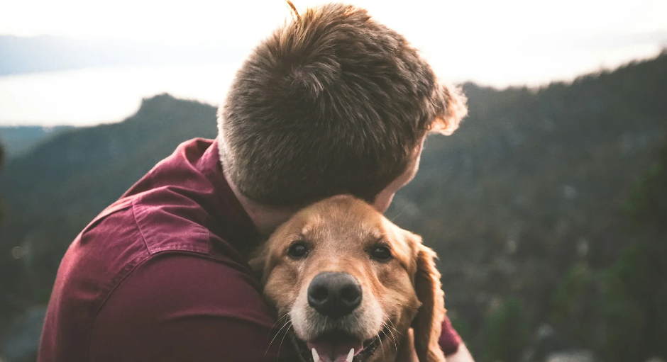 Minty Fur Spray For Dog