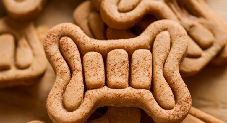 Sweet and Simple: Applelicious Dog Treats Made with Applesauce