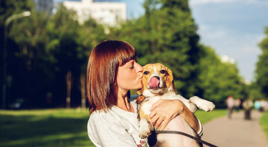 Vet-Approved Essentials Every New Dog Owner Needs