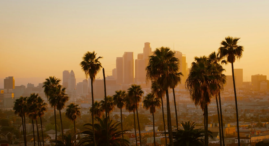 5 Best Day Trips from LA (For Families & Pet Parents)