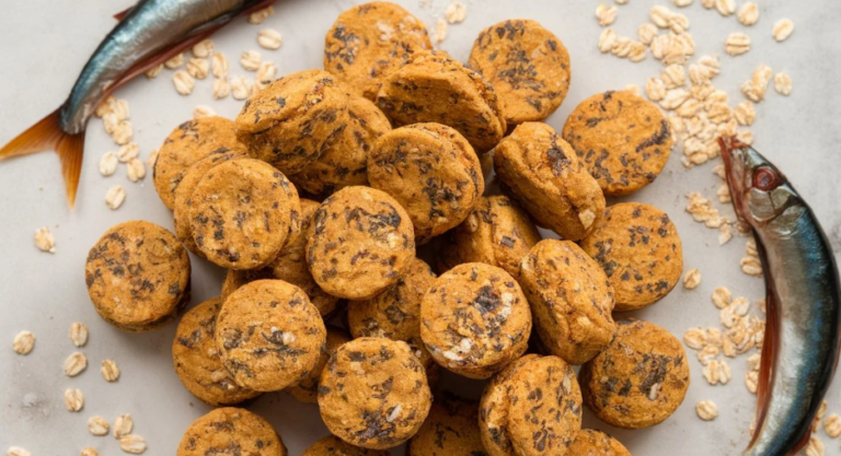 4-Ingredient Sardine and Oatmeal Treats: A Fishy Delight for Your Pup