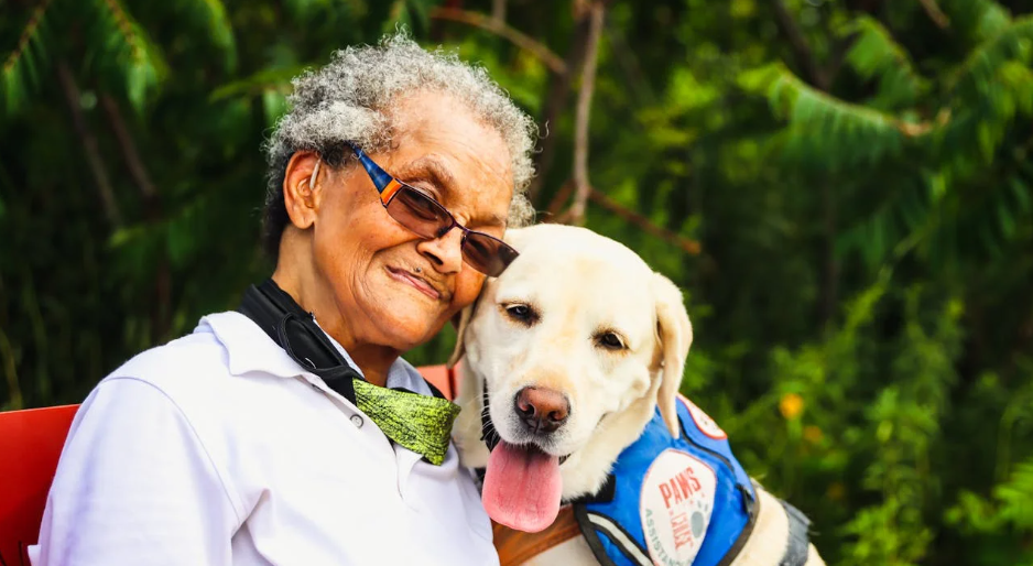 Service Dog Training Tips